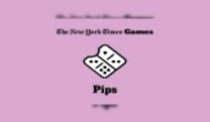 Pips NYT - New York Times Logic Puzzle Game